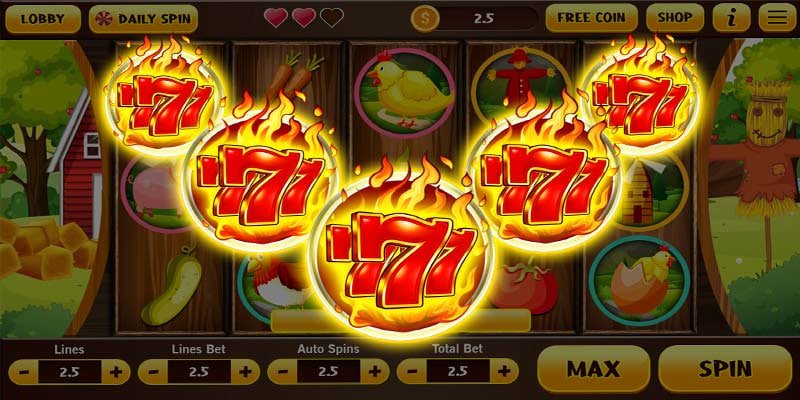 955bet
